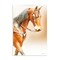 Stupell Industries Brown Majestic Horse Wall Plaque, design by Kari Brooks